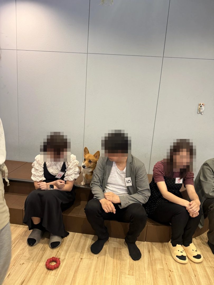コーギーも仲間入り