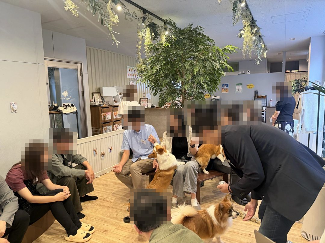 【9月20日】＼1年以内に結婚が理想／恋する犬カフェコン♡コーギーワールド 結果報告